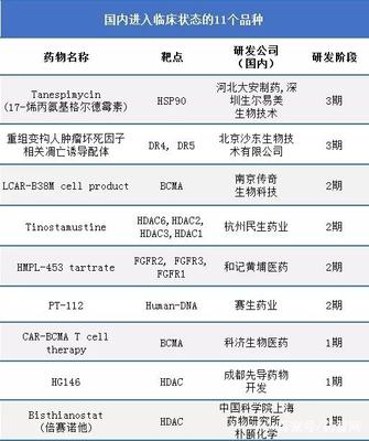 多發性骨髓瘤治療藥物的發展歷程 從1959到2017，聚焦20款上市藥物與中國臨床進展