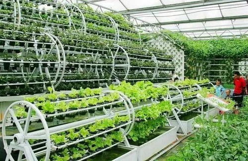 智能化植物工廠與康養農業的融合之路 以生物技術為催化劑