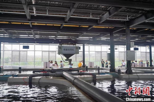 巴掌田上出實招 科技讓重慶山地農業(yè)更智慧