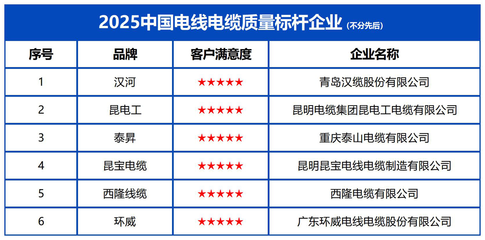 2025中國電線電纜質量標桿企業(yè) 重慶技術服務助力質量強國建設，引領行業(yè)高質量轉型